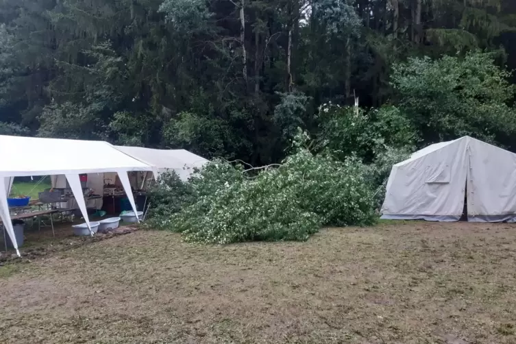 Der umgestürzte Baum landete zwischen zwei Zelten. Verletzt wurde niemand. 