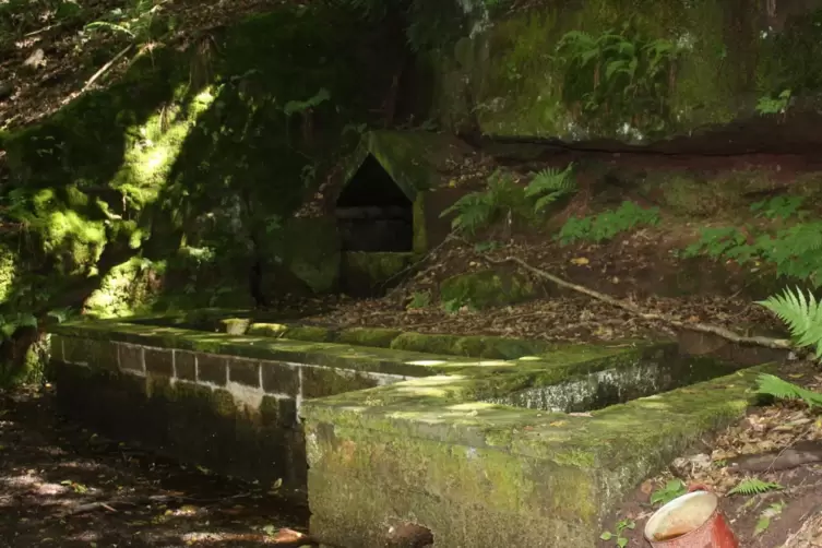 Der andere Erlenbrunner Waschbrunnen liegt mitten im Wald, östlich des Ortes in der Verlängerung des Horbacherwegs. 