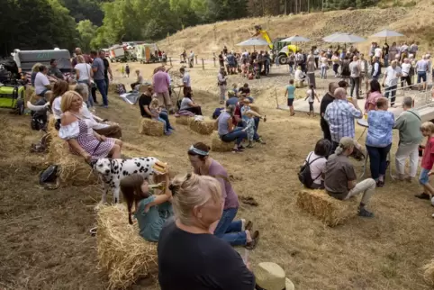 Die Hänge am Festplatz bei der Zentralen Abfallwirtschaft Kaiserslautern sind in diesem Jahr deutlich grüner als 2022.