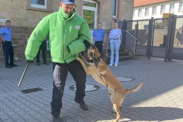  Mit Schutzjacke: Marcus Feldscher lässt sich vom Kollegen-Hund überwältigen. 