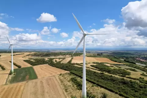 Der Klimastammtisch hätte gern mehr davon, doch bislang stehen die Regeln fürs Biosphärenreservat Pfälzerwald dagegen: die beide