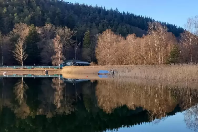 Im Gelterswoog tummelt sich eine ganze Menge Fische. Die mucksen sich meist nicht. Jetzt aber soll es zu schmerzhaften Begegnung