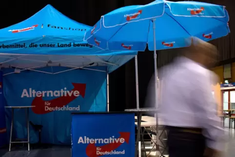 Eine „extrem neoliberale Wirtschafts- und Finanzpolitik“ bescheinigt DIW-Chef Fratzscher der AfD. 