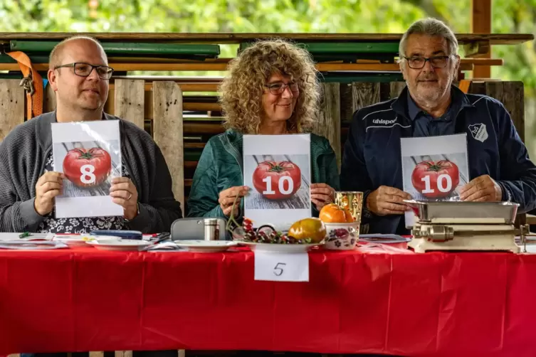 Ernsthaft und zugleich humorvoll bewerteten Benjamin Fernau, Angela Brünishoz und Hartmut Leiner (von links) die Wettbewerbstoma