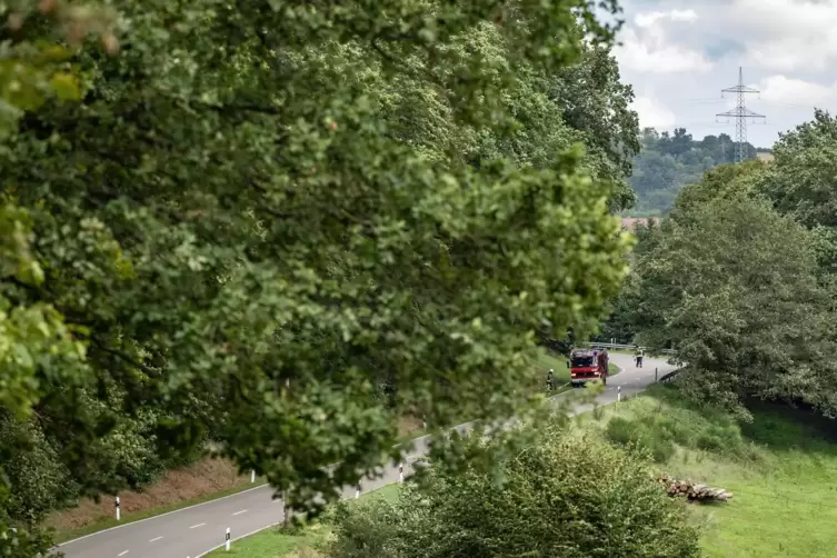 Die Straße schlängelt sich durchs Tal.