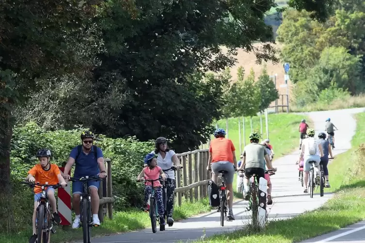 So sah es beim Sattelfest vor zwei Jahren zwischen Harxheim und Albisheim aus,