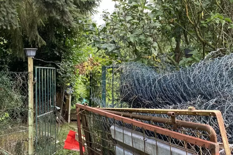 Das sind die Reste der Vogelvoliere und der Hasenställe von Dieter Zernikel. Er hat alles zum Wertstoffhof gebracht. 