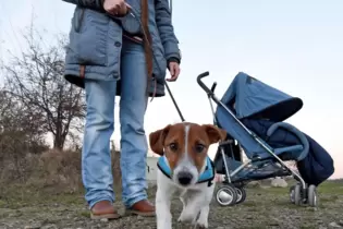 Des Menschen bester Freund: Hundebesitzer in Grünstadt müssen ab Januar 2024 mehr für ihren vierbeinigen Liebling ausgeben.