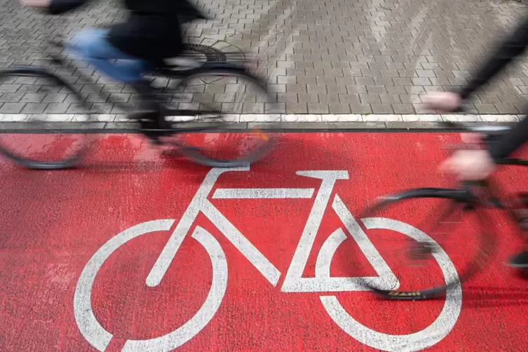 Auf dem Radweg zwischen Bundenthal und Niederschlettenbach stießen am Samstag zwei Radfahrer zusammen. 