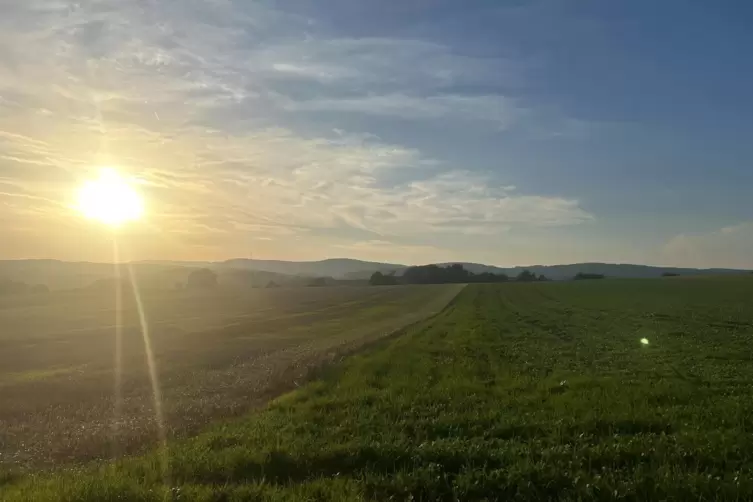 Der Hochsommer in der Region geht langsam dem Ende zu. Eine längere Schlechtwetterphase ist aber nicht in Sicht. 