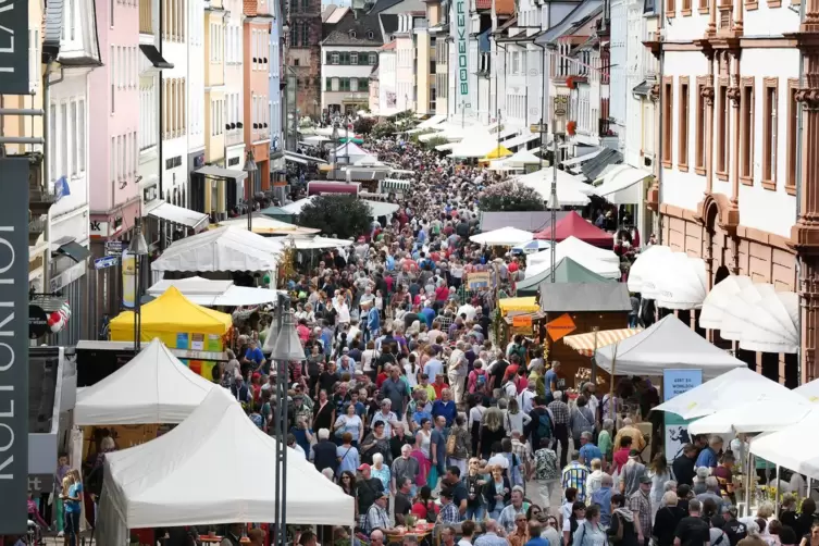 Kein Durchkommen: An den beiden Bauernmarkttagen wird die Maximilianstraße für Fahrzeuge gesperrt.