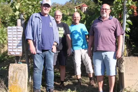 Bodo Peisch, Elvis Grün, Jürgen Ullmer und Adolf Kauth bei der Weinlese im Eisenberger Weinberg. 