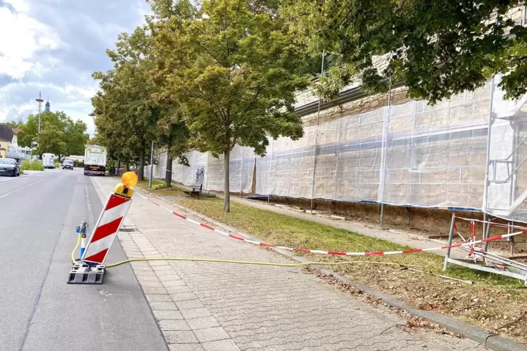 Hier gibt es keine Missverständnisse: Der Parkstreifen entlang der Schlossgartenmauer ist derzeit gesperrt.