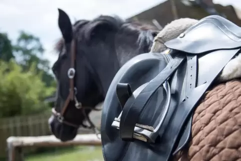 Gibt es auf dem Röderhof bald Reitstunden? 