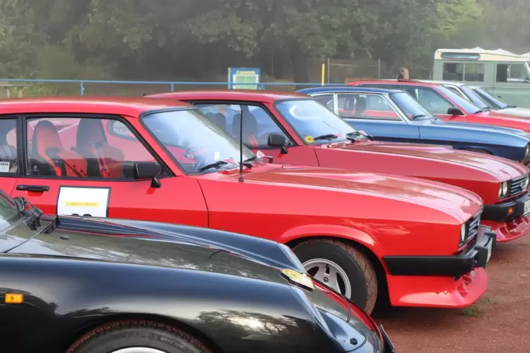 Wallonen-Rallye: Vor dem Start auf dem Sportplatz in Erfenbach sind die teilnehmenden Fahrzeuge aufgereiht. 