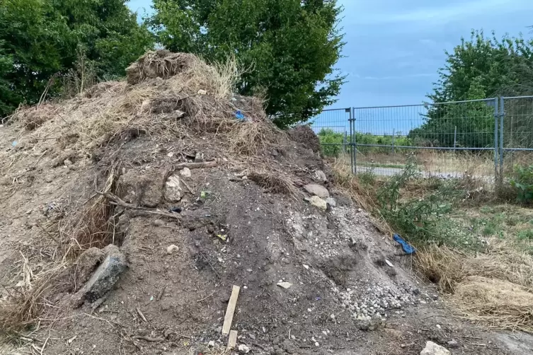 Auslöser des Streits: Dreckhaufen mit Bitumen auf dem Bockenheimer Grünschnittplatz. 