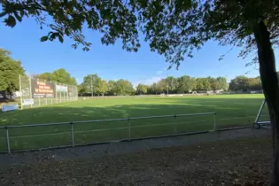 Der Naturrasenplatz des TuS Flomersheim sieht auf den ersten Blick grün und gesund aus, hat aber ein gewaltiges Problem mit Stau