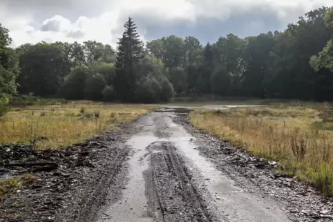 Das ehemalige Militärgelände auf dem Langerkopf bei Wilgartswiesen wird wohl windradfrei bleiben, wenn sich die Gesetzeslage nic