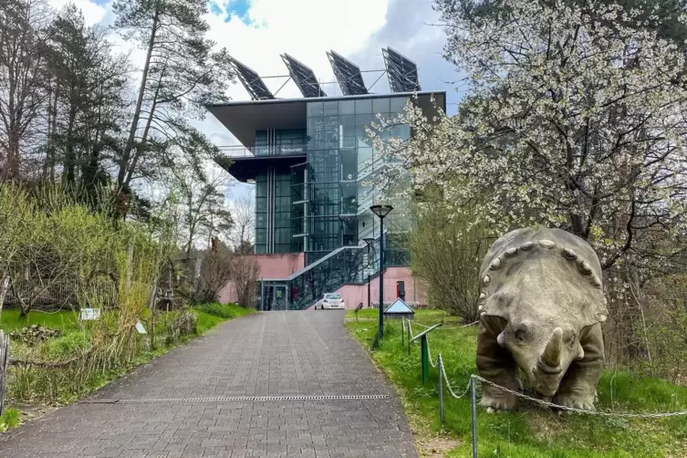 Teile der Ausstellung im Biosphärenhaus sollen in die digitale Zeit überführt werden. 