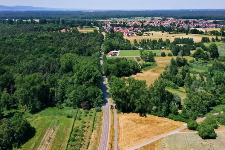 Wird saniert: die K26 zwischen Hanhofen (im Bildhintergrund) und Harthausen. 