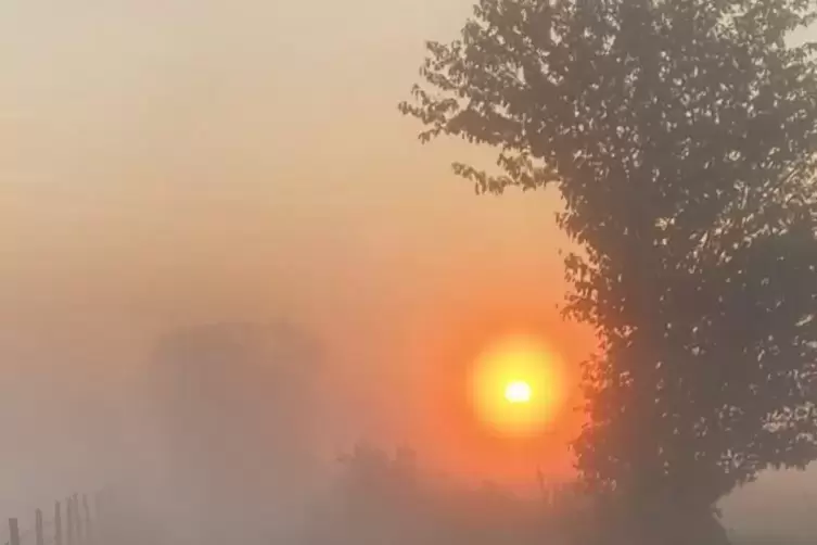 Herbststimmung: Sonnenaufgang im Nebel in Eulenbis. 