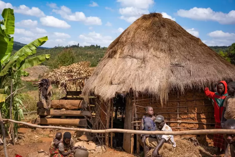 Traditionelle Hütte der Batwa. 