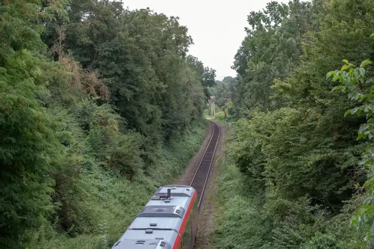 Entgegenkommende Züge müssen auf der eingleisigen Strecke derzeit aufeinander warten.