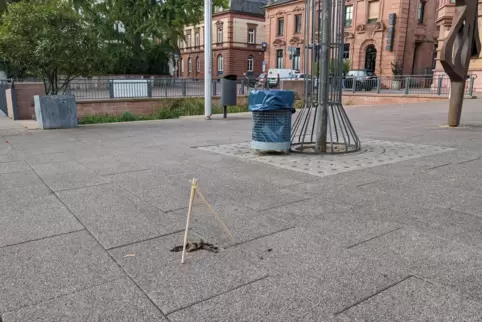 Warndreieck als Warnung vor Hundekot auf dem Werner-Kastner-Platz. 