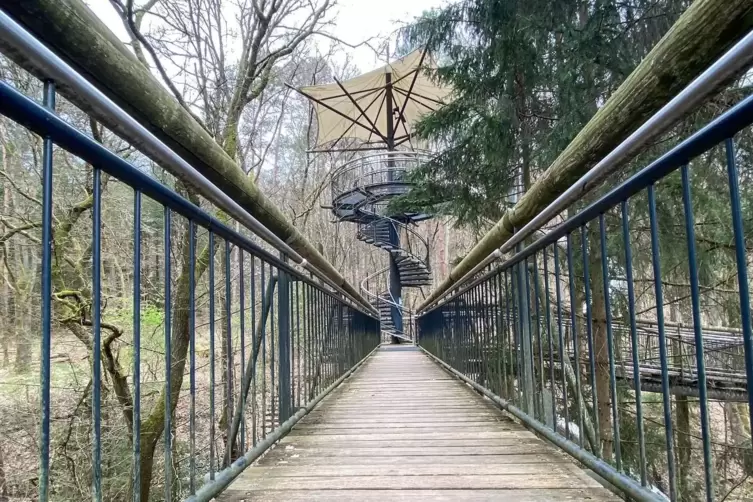 Neben dem Biosphärenhaus ist jetzt auch der Baumwipfelpfad geschlossen. 