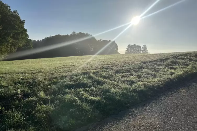 Hat an Kraft eingebüßt: Die Herbstsonne versteckt sich in den kommenden Tagen immer öfter hinter den Wolken. 