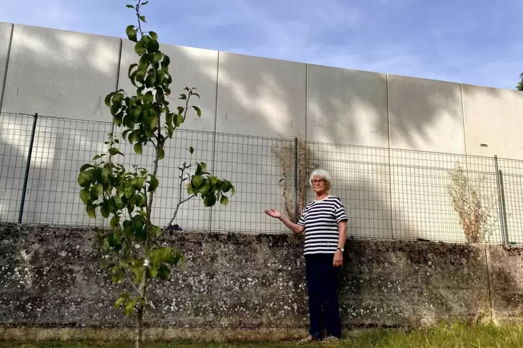 „So sieht sie aus, die Bescherung.“ – Margot Peter in ihrem Garten vor der von ihrer Seite aus stellenweise mehr als drei Meter 