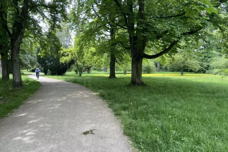 Der Ostpark zwischen Ostring, B9 und Nachtweideweg wird aktuell wenig zur Naherholung genutzt. 