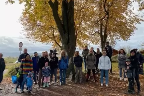 Morlauterer versammelten sich am Samstag, um für den Erhalt der Kastanie zu demonstrieren. 