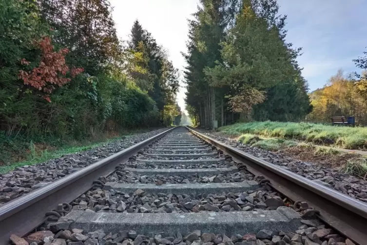 Im Lautertal, unser Bild zeigt den Streckenabschnitt zwischen Kaiserslautern und Otterbach, fielen am Dienstag zwei Fahrten aus.