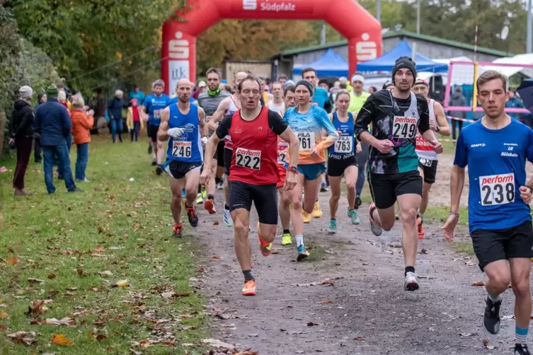 Hauptlauf bei der LG Rülzheim: Sieger Roland Golderer (Nummer 222), Pfalzmeister Philipp Ullrich (249) und die 761, Elena Burkar