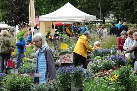 Erfahrungsgemäß stets gut besucht sind die beiden Märkte im Rosengarten – wie hier der Herbst- und Gartenmarkt im September. 