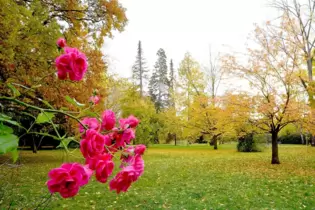 Ob der Ostpark bei einer stärkeren Nutzung so sauber bleibt? Daran gab es beim Rundgang Zweifel.