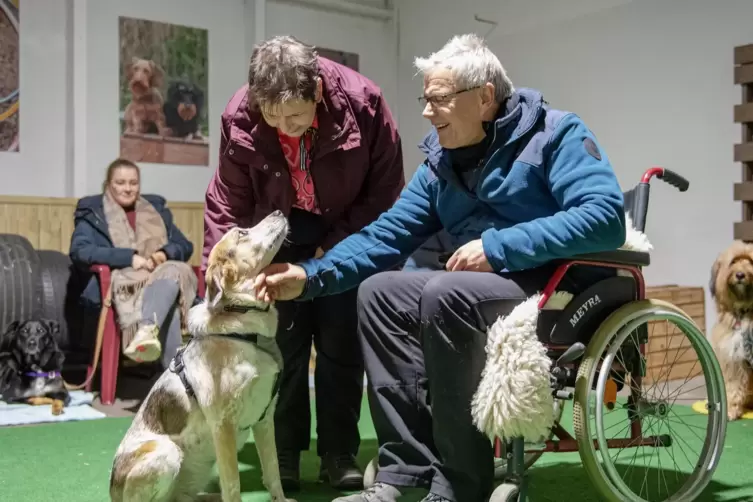 Kursteilnehmerin Steffi Schurig führt ihren Hund Lotte an Jürgen Trösken heran, der für die Übung einen Rollstuhlfahrer spielt. 