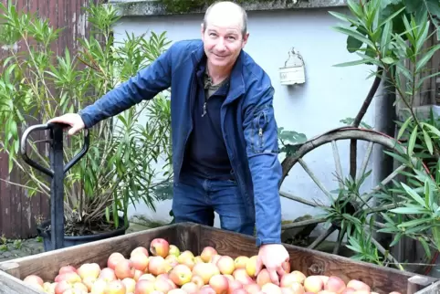 Landwirt Elmar Meinhardt mit frisch geernteten Äpfeln. 