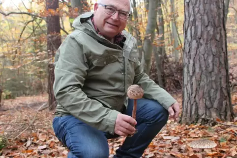 Jörg-Thomas Titz zeigt einen essbaren Parasol-Pilz.