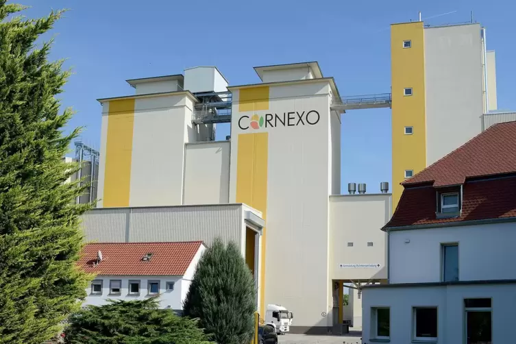 Nach Angaben von Cornexo-Geschäftsführer Patrick Bindewald hat das Unternehmen im vergangenen Jahr rund 80.000 Tonnen Mais verar