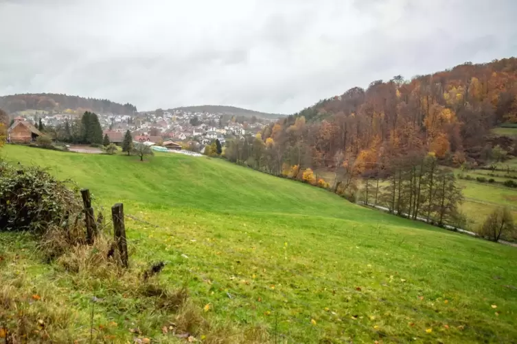 Der Bechhofer Rat ließ sich über Möglichkeiten informieren, wo Photovoltaikanlagen im Dorf Strom produzieren könnten.