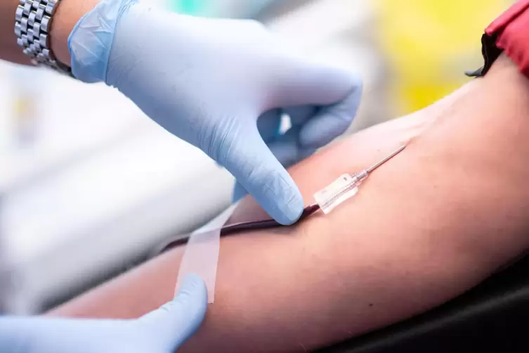 Über 1000 Blutspenden sind 2023 bei den Spendeterminen in Haßloch zusammengekommen. 