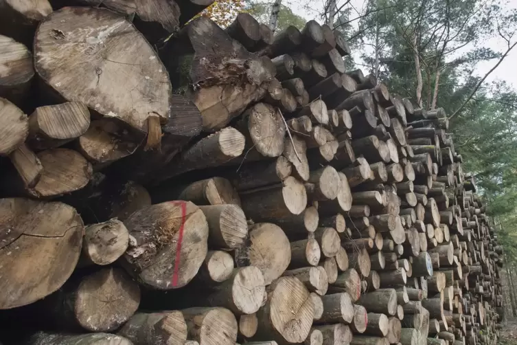 430 Festmeter Holz sollen geschlagen werden.