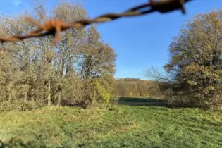 In einem Waldstück in der Nähe des Sportplatzes auf dem Windhof soll Hogir A. der Organisation FED-GEL zufolge aufgefunden worde