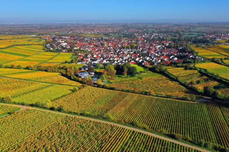 Deidesheim, von oben betrachtet. 