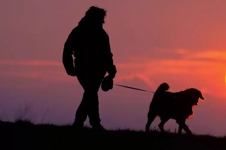 Hundehalter werden wohl tiefer in die Tasche greifen müssen. 