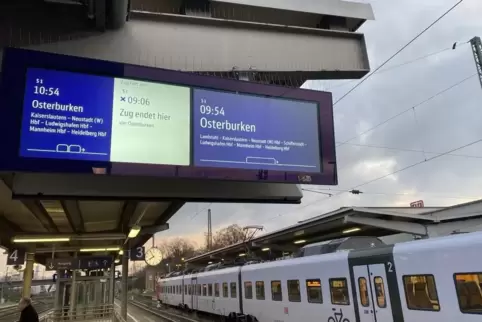 Wegen Personalmangels kommt es im Bahnverkehr in der Pfalz auch am Sonntag zu massiven Problemen.