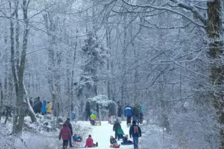 So könnte es ab Montag im Pfälzerwald ausssehen.