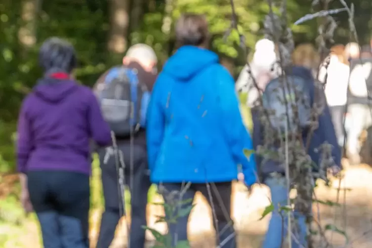 Bei der deutschlandweiten Gesundheitsaktion geht es darum, möglichst viele Kilometer zu Fuß zu sammeln. 